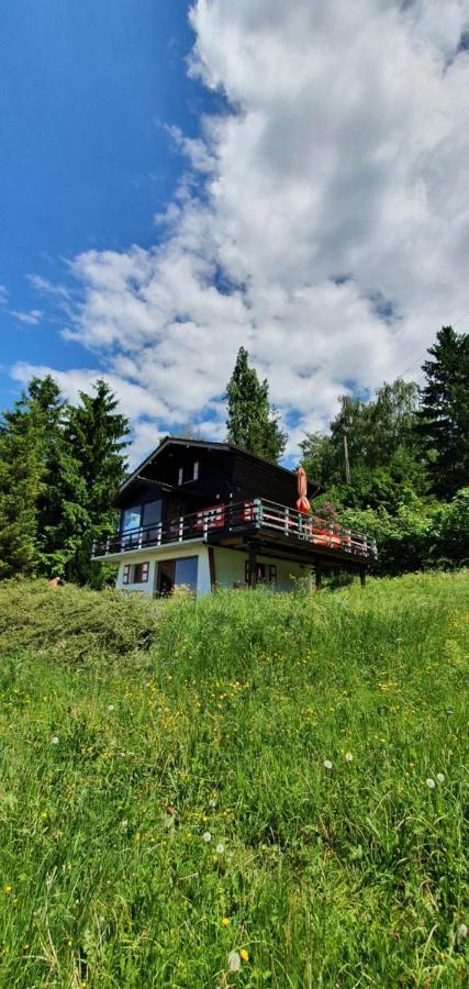 Villa Chalet Nature Thollon-les-Memises Exterior foto